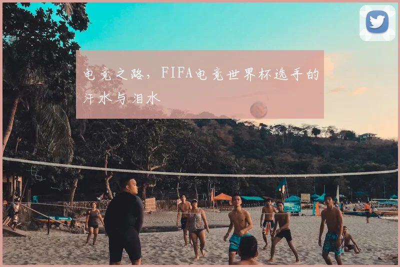 电竞之路，FIFA电竞世界杯选手的汗水与泪水