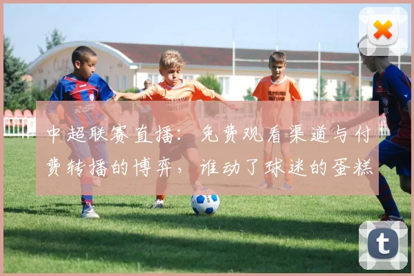 中超联赛直播：免费观看渠道与付费转播的博弈，谁动了球迷的蛋糕？