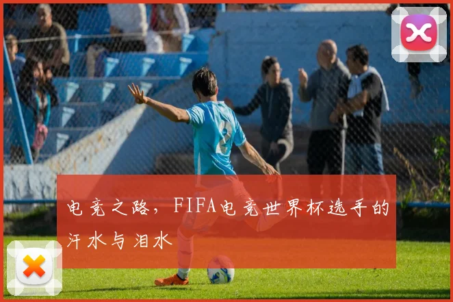 电竞之路，FIFA电竞世界杯选手的汗水与泪水